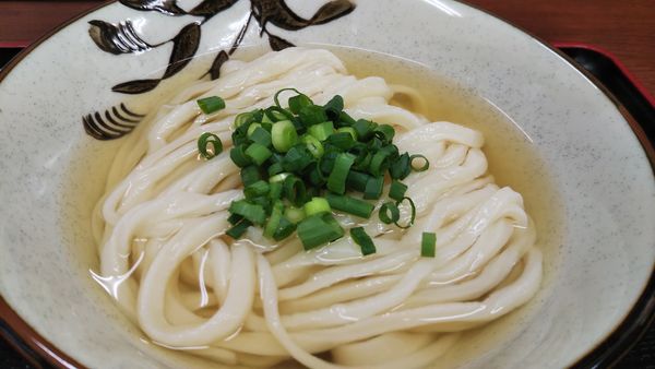 「ひやひや(並、350円)」@讃岐うどん いわいの写真