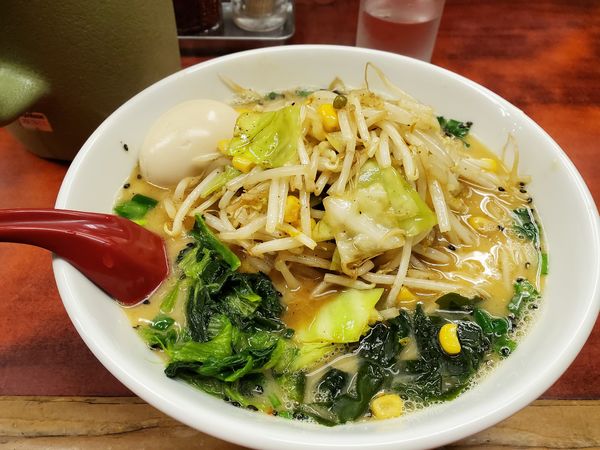 「味噌ラーメン800円＋味玉100円」@らーめん ドラごんちの写真