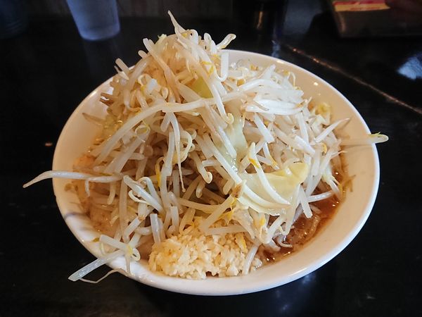 「味噌・Ⅱ型(野菜、ニンニク)800円」@踊ろうサンダーバードの写真