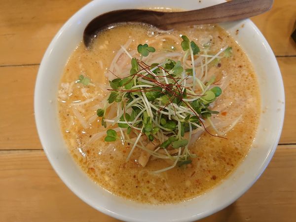 「味噌SOBA 大盛」@麺屋 Hulu-luの写真