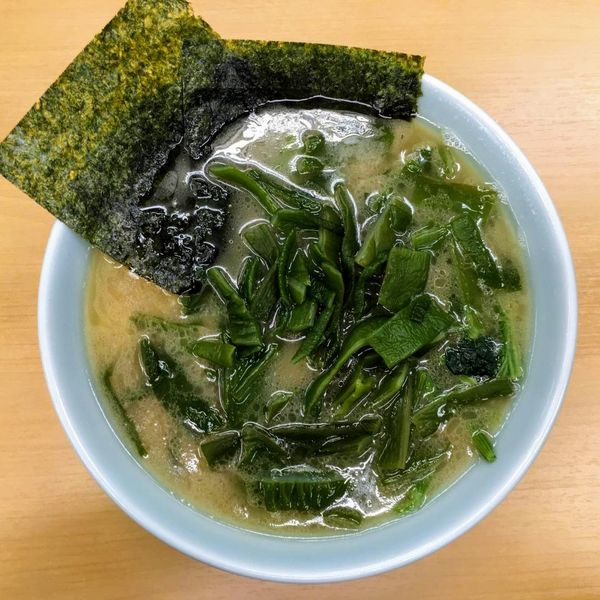 「ワカメラーメン（麺カタメ）700円」@ラーメン大将 本店の写真