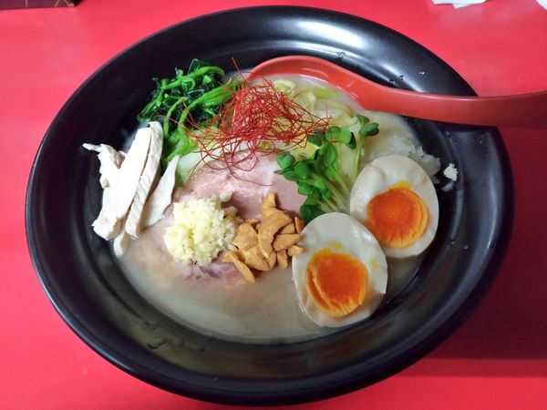 「期間限定 ガーリック塩鶏白湯麺」@和風らーめん はるやの写真