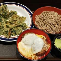ミニひれかつ丼セット+春菊天