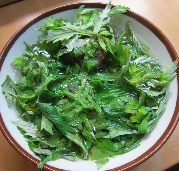 「よもぎそば 700円」@なかむら屋 屋台そば 駅前店の写真