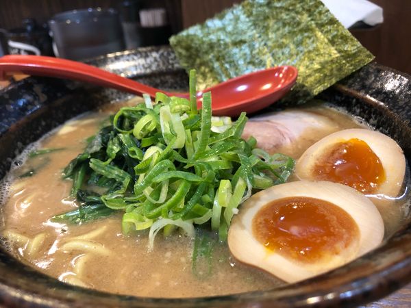 「濃厚とんこつ白ラーメン　780円」@ラーメンどやどやの写真
