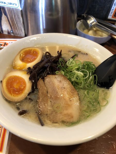 「味玉らーめん」@博多拉麺 一休 本店の写真