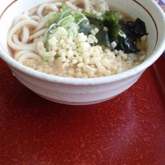 山田うどん 田島店の画像