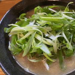 ラーメン+ネギ