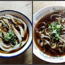 香露うどん 660円＋中華そば 880円