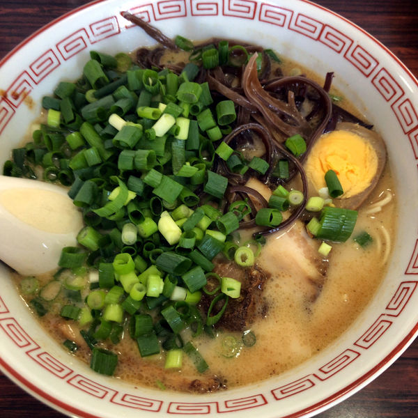 「とんこつラーメン（並盛）カタ　700円」@熊本ラーメン みち丸の写真