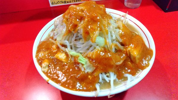 「フュージョン800円」@蒙麺 火の豚の写真