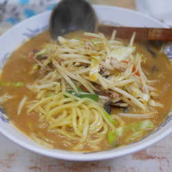 味噌らーめん 麺硬め