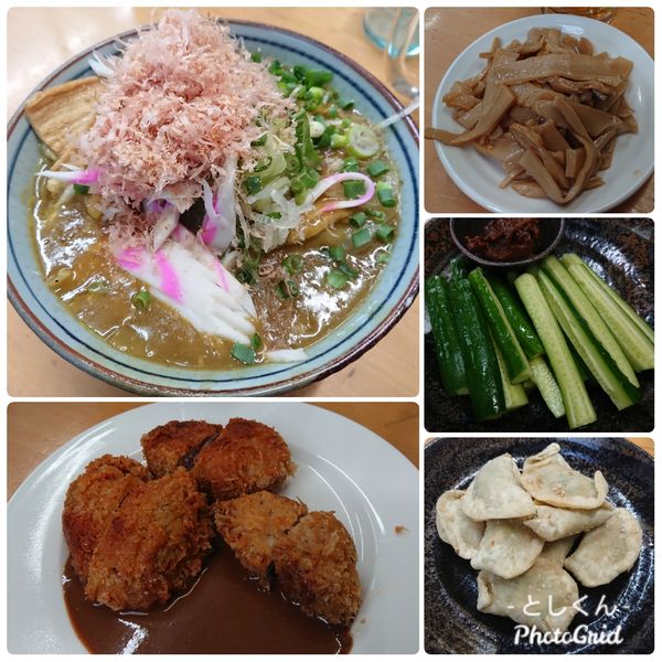 「【3月限定】縞腸和風カレー南蛮A＋紫峰豚ヒレhalf丸カツ」@MENYA 食い味の道有楽の写真