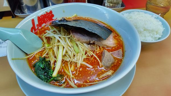 「辛味噌ネギラーメン激辛＋半ライス1000円」@ラーメン山岡家 岩瀬店の写真