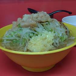 小ラーメン(麺少なめ)：豚2枚(麺 約250g)