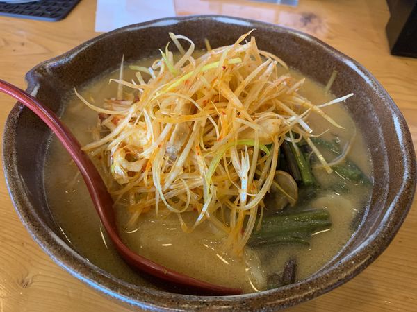 「信州肉ネギラーメーン」@麺場 田所商店 中原店の写真