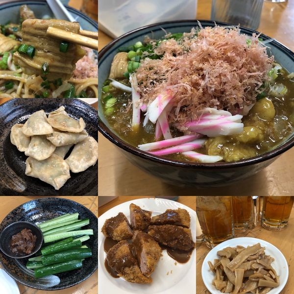 「【3月限定】縞腸和風カレー南蛮A1500円+紫峰豚ﾋﾚｶﾂ」@MENYA 食い味の道有楽の写真