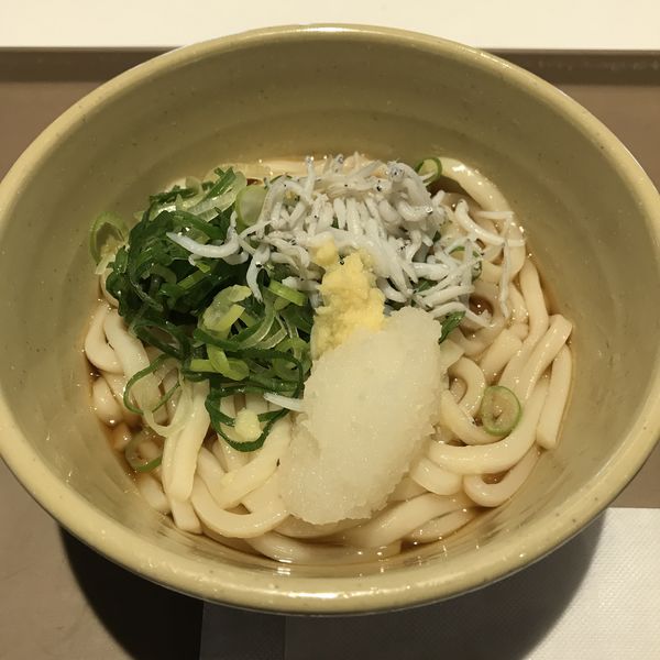 「しらすおろしのぶっかけうどん(¥590)」@Japan Gourmet Portの写真