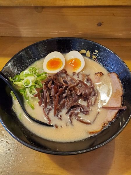 「煮玉子らーめん」@らーめん二男坊 博多本店の写真