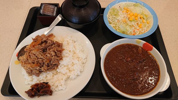 「創業ビーフカレーギュウ並（＋生野菜サラダ１１０円）＝８３０円」@松屋 千葉幸町店の写真