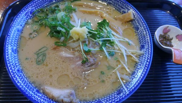 「濃厚中華」@麺房 あんよんの写真