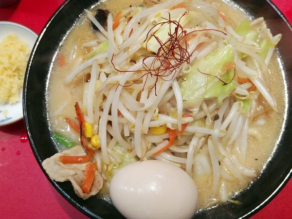 「味噌タンメン（白）＋味玉」@濃厚タンメン かめしげの写真