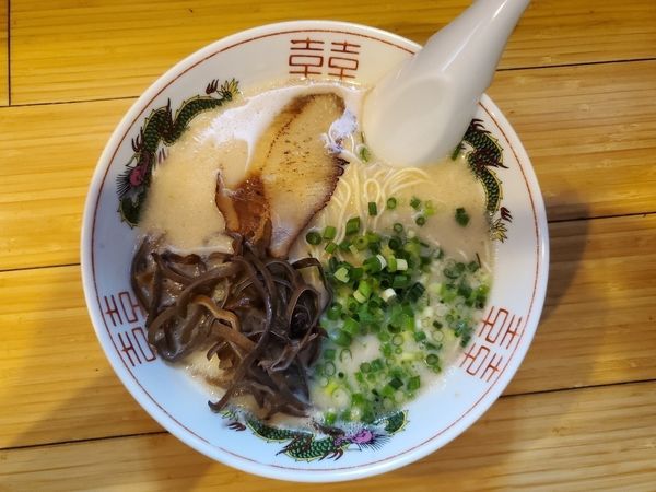 「博多豚骨ラーメン」@コハクノトキの写真