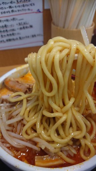 「辛味噌煮干し」@味噌麺処 花道庵の写真