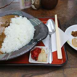 鹿肉カレー