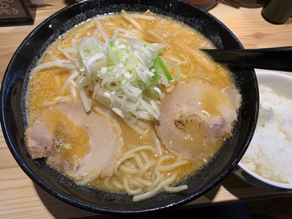 「濃厚味噌豚骨」@背油とんこつらーめん 雷門の写真