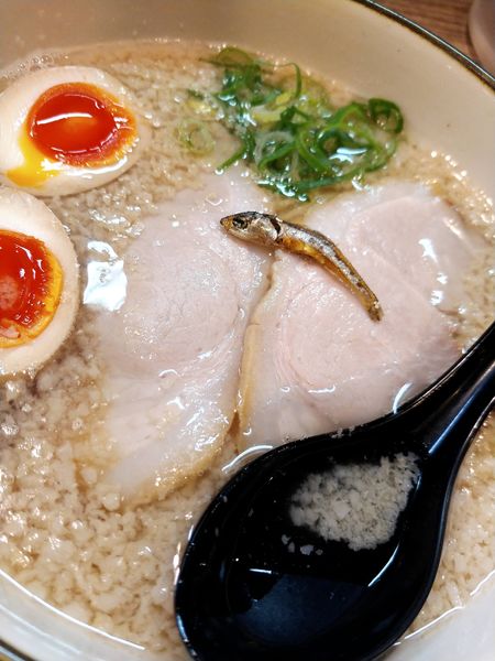 「味玉背脂しょうゆ」@煮干しラーメン にぼってるの写真