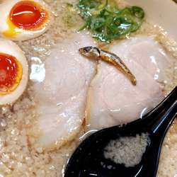 味玉背脂しょうゆ