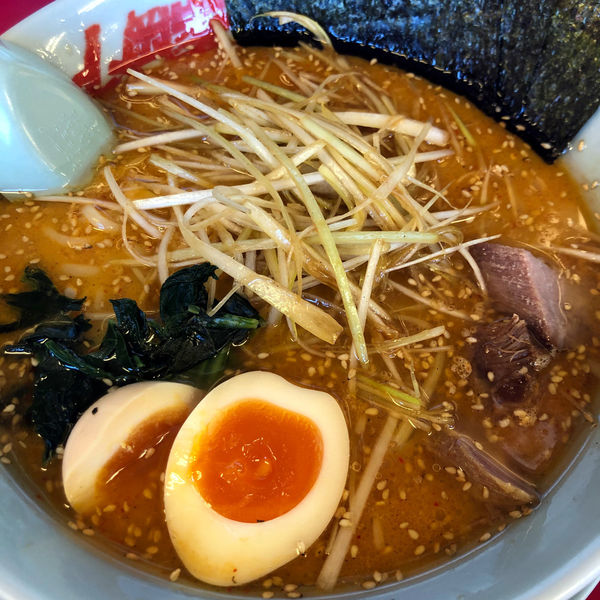 「特製味噌ネギラーメン　870円　味玉　0円」@ラーメン山岡家 大泉店の写真