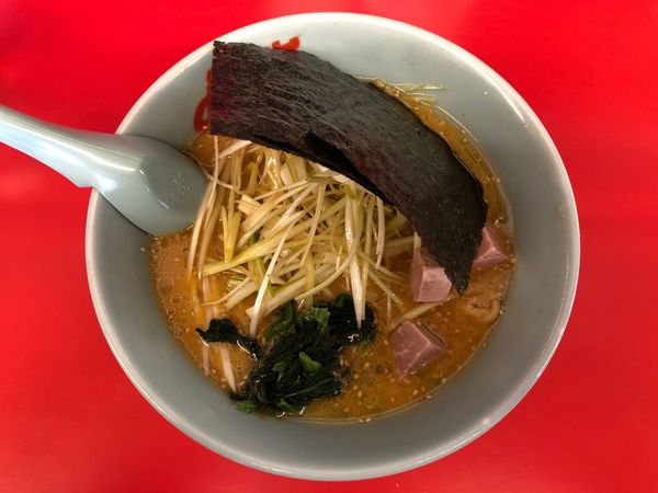 「特製味噌ネギラーメン」@ラーメン山岡家 谷田部店の写真