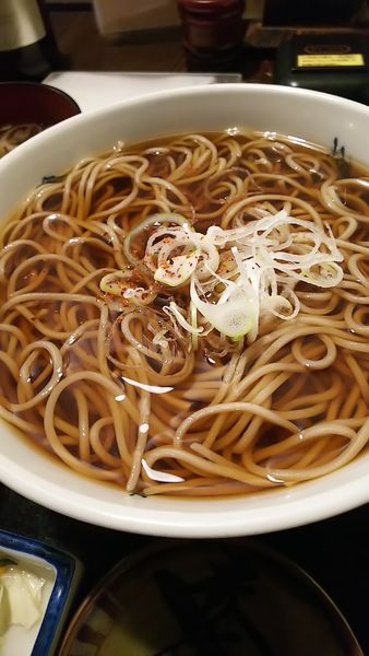 「かけそば」@味奈登庵 本牧店の写真