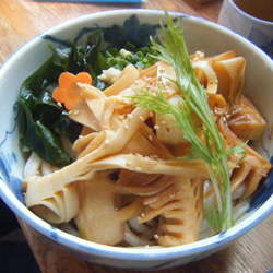 朝採り竹の子うどん