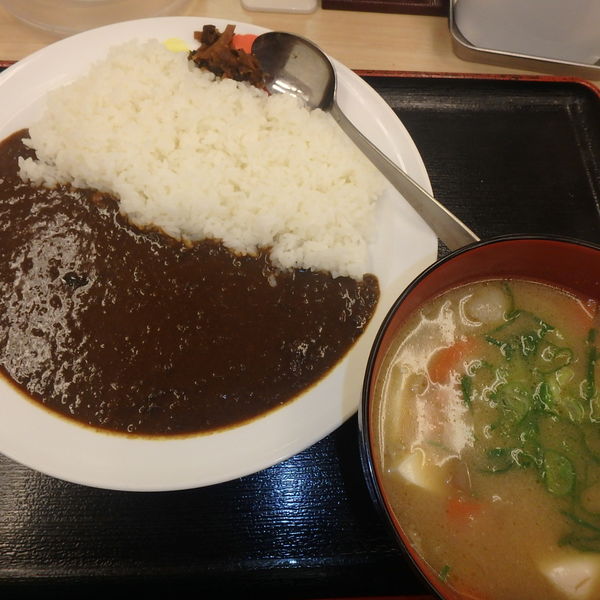 「オリジナルカレー(豚汁変更)430円」@松屋 京王つつじヶ丘店の写真