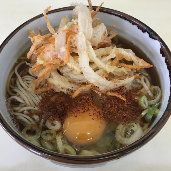 「天ぷら（￥330）＋玉子（￥50）」@高田うどん店の写真