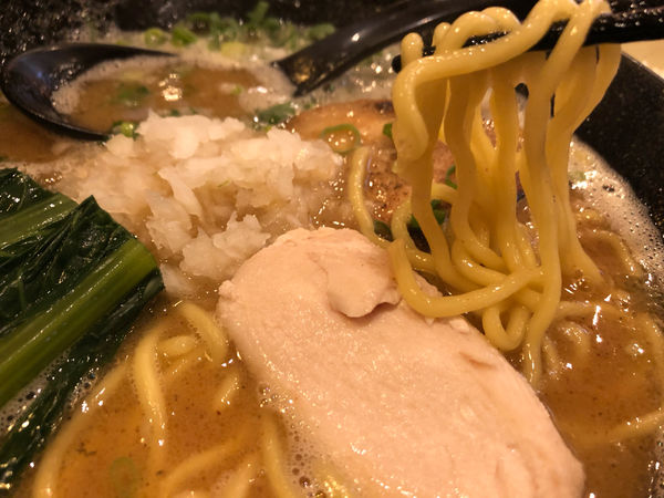 「鶏白湯ラーメン　800円」@三代目麺処 「まるは」極 船橋店の写真