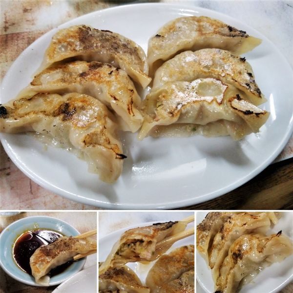 「餃子(6個)  430円」@弥生亭の写真