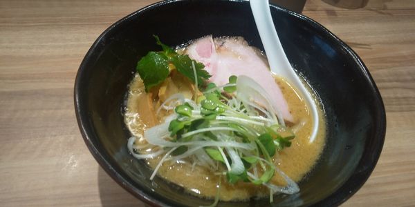 「白湯鶏そば」@鶏そば うえ原の写真