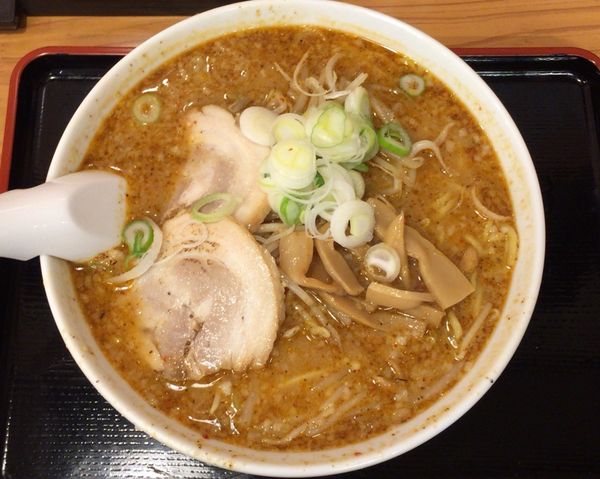 「にぼ味噌」@ラーメン とらじ食堂の写真