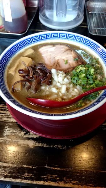 「にぼとん（８００円）」@ラーメン サカモトの写真