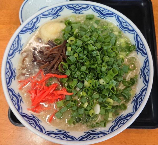 「博多らーめん＋青ねぎ＋替玉」@由丸製麺所の写真