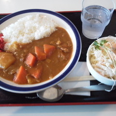 ウイリアムズの画像