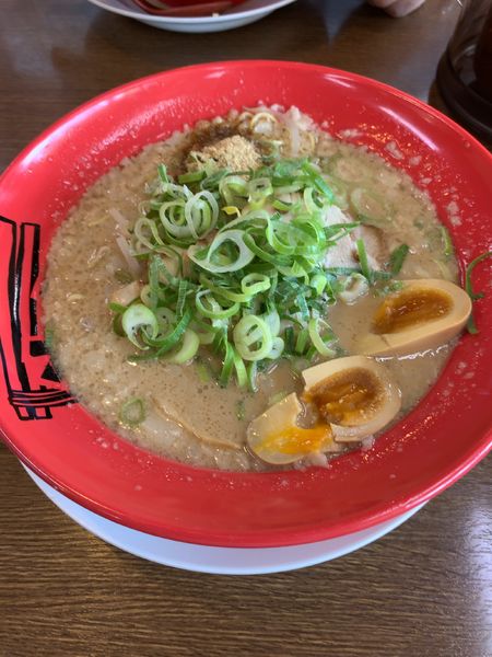 「濃厚とんこつコテ麺（上850円）」@ホっポ屋 本店の写真