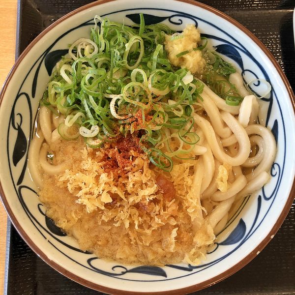 「かけ（大）＋かしわ天」@丸亀製麺 東京ドームシティ店の写真