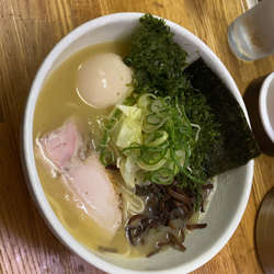 鶏白湯塩ラーメン