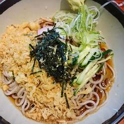 冷したぬきそば