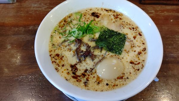 「豚骨醤油味玉ラーメン」@七代目 哲麺 大和店の写真